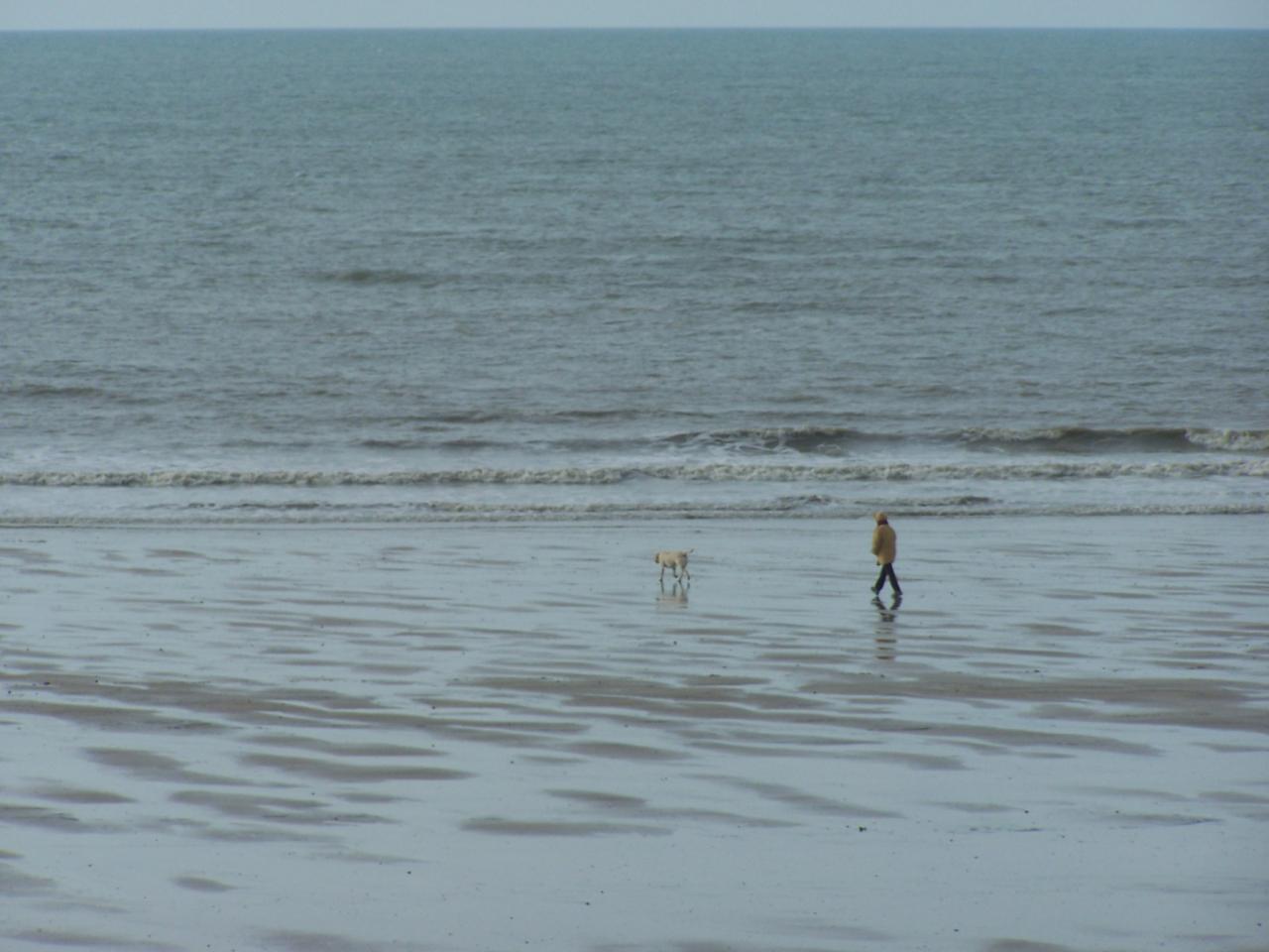 promenade au fil de l'eau